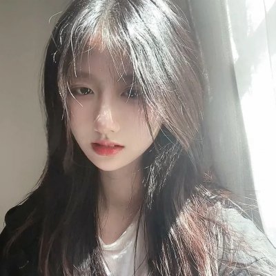 飞蛾日记