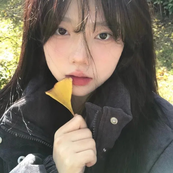 大偷记
