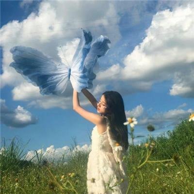 阿拉卡达的秘密